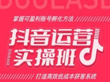 抖音运营实操班，掌握可盈利账号孵化方法，打造高效低成本获客系统-黑鲨创业网