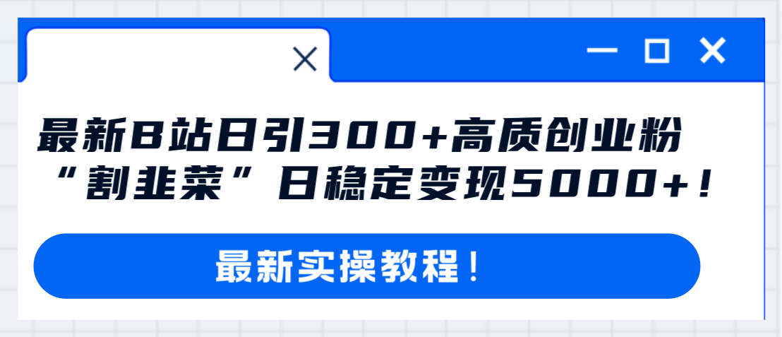 （8216期）最新B站日引300+高质创业粉教程！“割韭菜”日稳定变现5000+！-黑鲨创业网