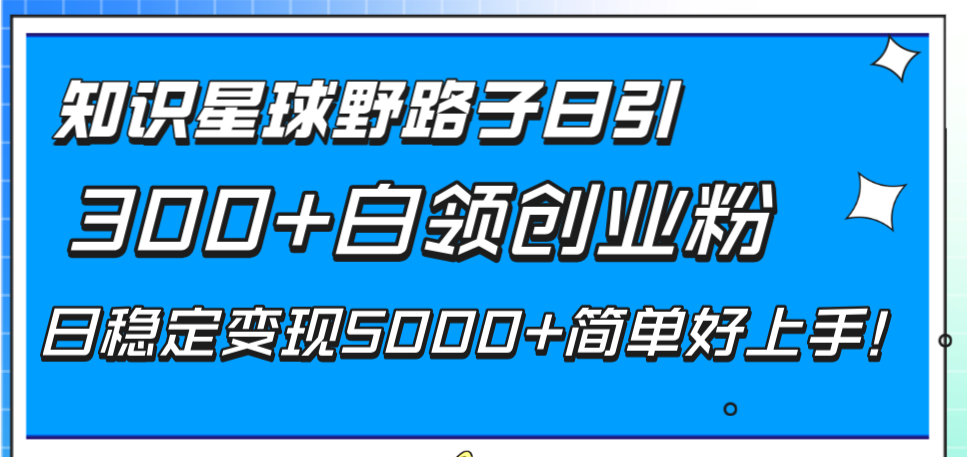 （8315期）知识星球野路子日引300+白领创业粉，日稳定变现5000+简单好上手！-黑鲨创业网