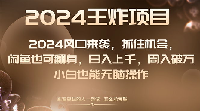 （8401期）2024风口项目来袭，抓住机会，闲鱼也可翻身，日入上千，周入破万，小白…-黑鲨创业网