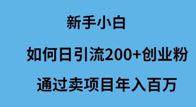 （9668期）新手小白如何日引流200+创业粉通过卖项目年入百万-黑鲨创业网