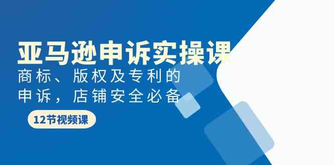 （9754期）亚马逊-申诉实战课，​商标、版权及专利的申诉，店铺安全必备-黑鲨创业网