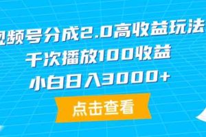 （9716期）视频号分成2.0高收益玩法，千次播放100收益，小白日入3000+-黑鲨创业网