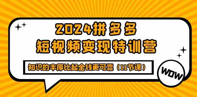 （9817期）2024拼多多短视频变现特训营，知识的丰厚比起金钱更可靠（11节课）-黑鲨创业网