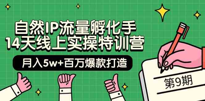 （9881期）自然IP流量孵化手 14天线上实操特训营【第9期】月入5w+百万爆款打造 (74节)-黑鲨创业网