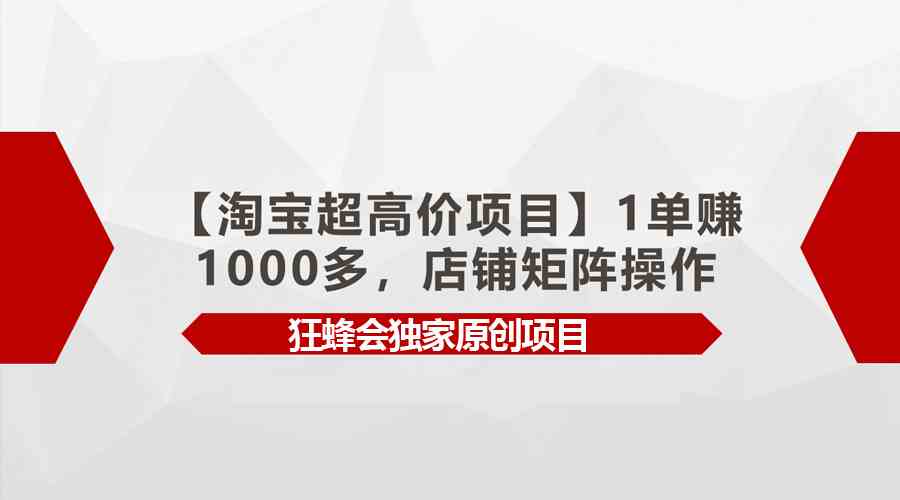 （9849期）【淘宝超高价项目】1单赚1000多，店铺矩阵操作-黑鲨创业网