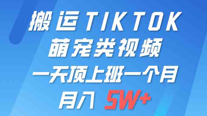 （9931期）一键搬运TIKTOK萌宠类视频 一部手机即可操作 所有平台均可发布 轻松月入5W+-黑鲨创业网