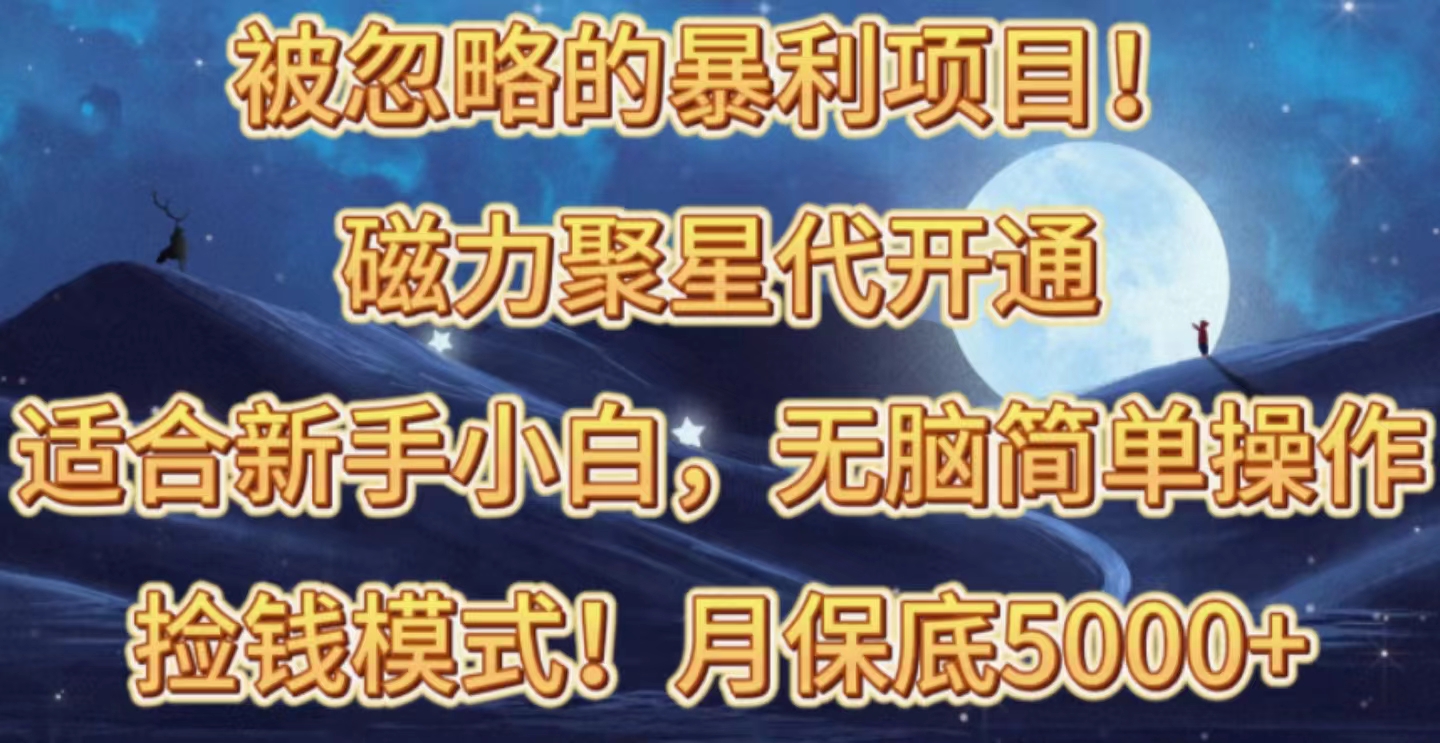 （10245期）被忽略的暴利项目！磁力聚星代开通捡钱模式，轻松月入五六千-黑鲨创业网