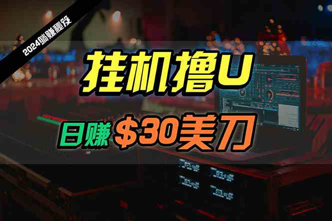 （10013期）日赚30美刀，2024最新海外挂机撸U内部项目，全程无人值守，可批量放大-黑鲨创业网