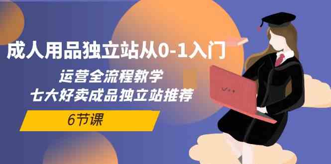 （10082期）成人用品独立站从0-1入门，运营全流程教学，七大好卖成品独立站推荐-6节课-黑鲨创业网