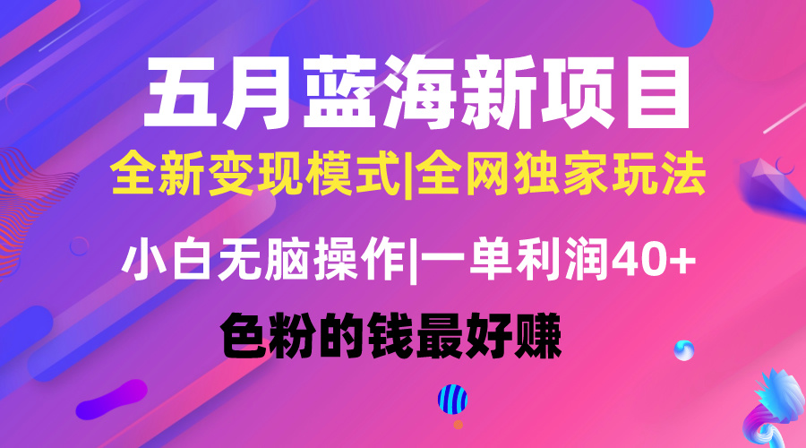 （10477期）五月蓝海项目全新玩法，小白无脑操作，一天几分钟，矩阵操作，月入4万+-黑鲨创业网