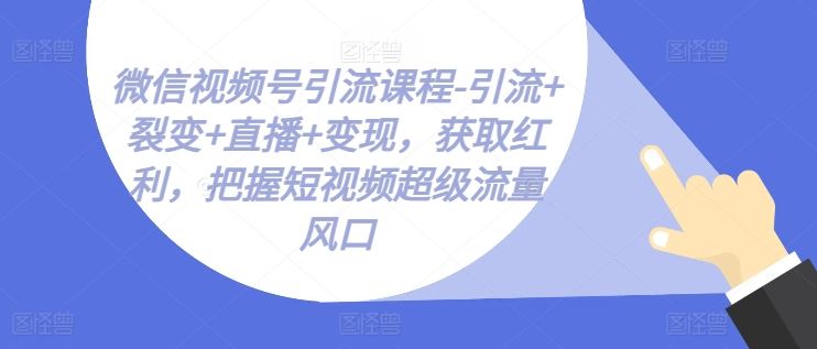 微信视频号引流课程-引流+裂变+直播+变现，获取红利，把握短视频超级流量风口-黑鲨创业网