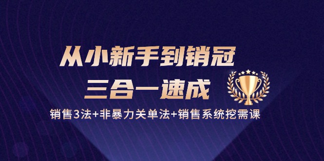 （10799期）从小新手到销冠 三合一速成：销售3法+非暴力关单法+销售系统挖需课 (27节)-黑鲨创业网