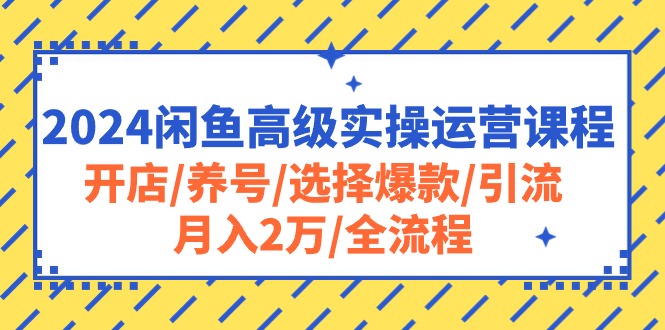 （10711期）2024闲鱼高级实操运营课程：开店/养号/选择爆款/引流/月入2万/全流程-黑鲨创业网