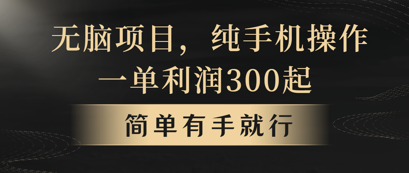 （10699期）无脑项目，一单几百块，轻松月入5w+，看完就能直接操作-黑鲨创业网