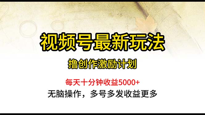 （10591期）视频号最新玩法，每日一小时月入5000+-黑鲨创业网