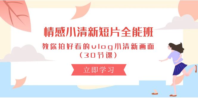 （10567期）情感 小清新短片-全能班，教你拍好看的vlog小清新画面 (30节课)-黑鲨创业网