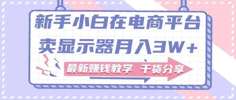 （11053期）新手小白如何做到在电商平台卖显示器月入3W+，最新赚钱教学干货分享-黑鲨创业网