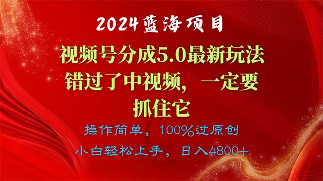 （11032期）2024蓝海项目，视频号分成计划5.0最新玩法，错过了中视频，一定要抓住…-黑鲨创业网