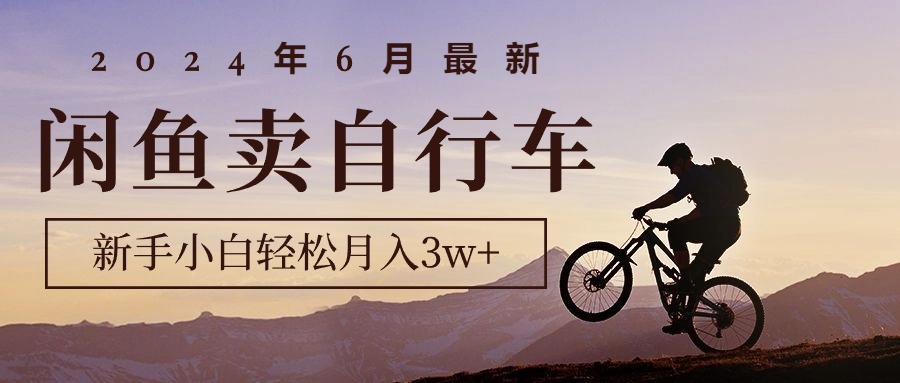 （10915期）2024年6月最新闲鱼卖自行车，新手小白轻松月入3w+项目-黑鲨创业网