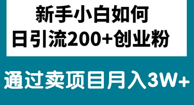 （10843期）新手小白日引流200+创业粉,通过卖项目月入3W+-黑鲨创业网