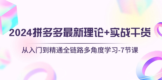 （10816期）2024拼多多 最新理论+实战干货，从入门到精通全链路多角度学习-7节课-黑鲨创业网