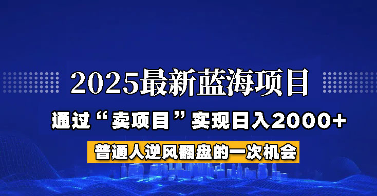 2025年蓝海项目，如何通过“网创项目”日入2000+-黑鲨创业网