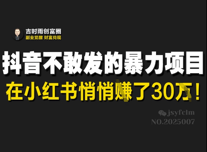 抖音不敢发的暴利项目，在小红书悄悄挣了30W-黑鲨创业网