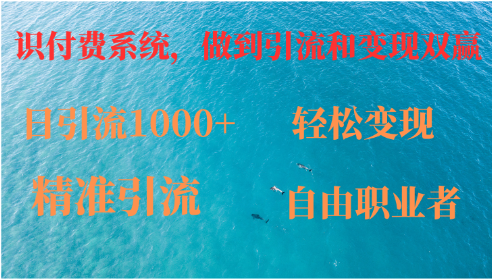 如何搭建自己的知识付费系统，做到引流和变现双赢-黑鲨创业网