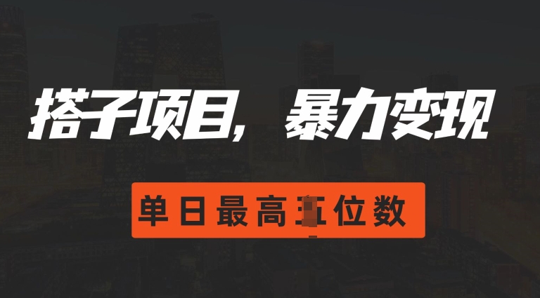 2024搭子玩法，0门槛，暴力变现，单日最高破四位数【揭秘】-黑鲨创业网