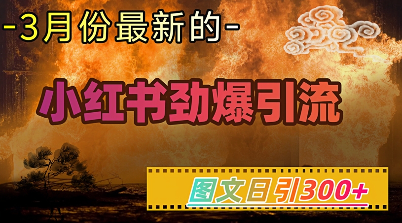 小红书超劲爆引流手段，图文日引300+轻松变现1W-黑鲨创业网