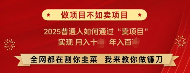 必看，做项目不如卖项目，2025普通人如何通过“卖项目”实现月入十个，年入百个-黑鲨创业网