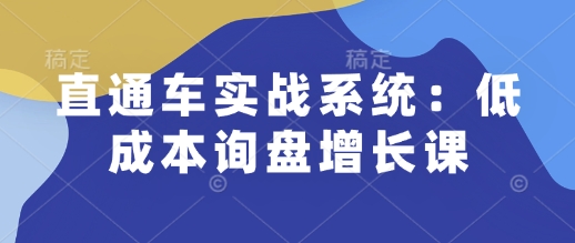 直通车实战系统：低成本询盘增长课，让个人通过技能实现升职加薪，让企业低成本获客，订单源源不断-黑鲨创业网