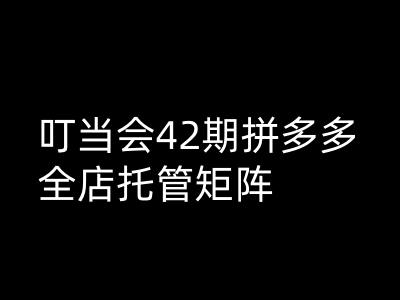 叮当会拼多多打爆班原创高阶技术第42期，拼多多全店托管矩阵-黑鲨创业网