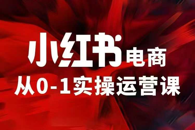 小红书电商运营，97节小红书vip内部课，带你实现小红书赚钱-黑鲨创业网