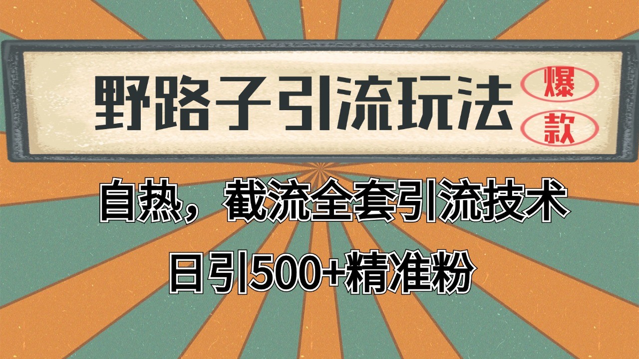 抖音小红书视频号全平台引流打法，全自动引流日引2000+精准客户-黑鲨创业网