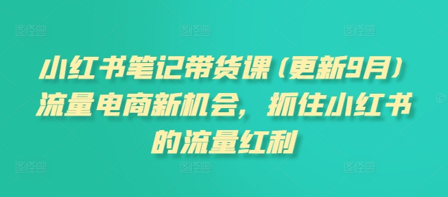 小红书笔记带货课(更新25年2月)流量电商新机会，抓住小红书的流量红利-黑鲨创业网