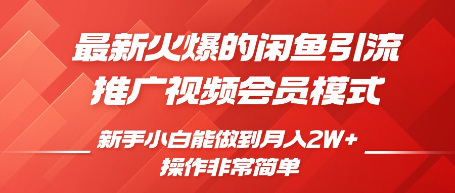 闲鱼引流推广影视会员，0成本就可以操作，新手小白月入过W+【揭秘】-黑鲨创业网