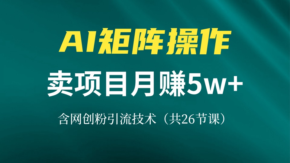 网创IP打造课，借助AI卖项目月赚5万+，含引流技术(共26节课-黑鲨创业网