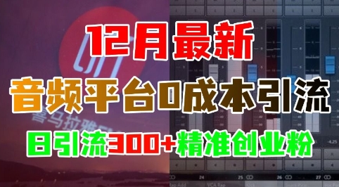 12月最新：音频平台0成本引流，日引流300+精准创业粉-黑鲨创业网