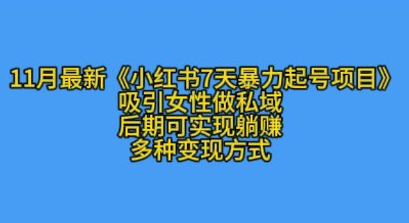 K总部落11月最新小红书7天暴力起号项目，吸引女性做私域【揭秘】-黑鲨创业网