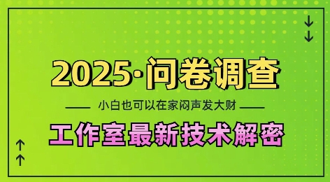 2025问卷调查最新工作室技术解密：一个人在家也可以闷声发大财，小白一天2张，可矩阵放大【揭秘】-黑鲨创业网