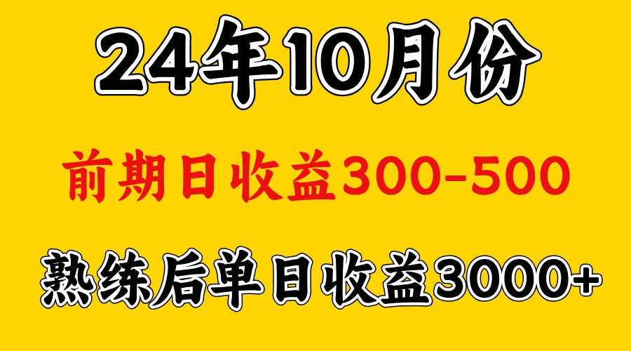 高手是怎么赚钱的.前期日收益500+熟练后日收益3000左右-黑鲨创业网