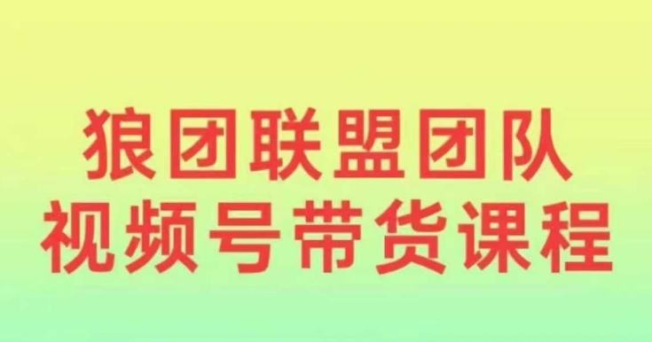 狼团联盟2024视频号带货，0基础小白快速入局视频号-黑鲨创业网