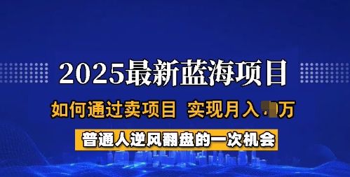 2025蓝海项目，普通人如何通过卖项目，实现月入过W，全过程【揭秘】-黑鲨创业网