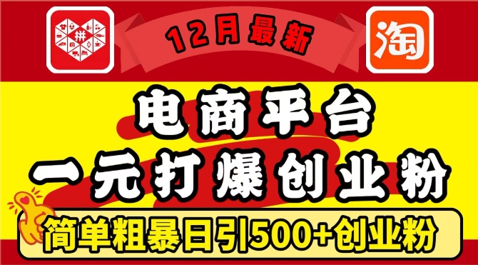 12月最新：电商平台1元打爆创业粉，简单粗暴日引500+精准创业粉，轻松月入过W【揭秘】-黑鲨创业网