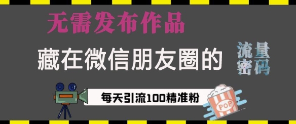 藏在微信朋友圈的流量密码，无需发布作品，单日引流100+精准创业粉【揭秘】-黑鲨创业网