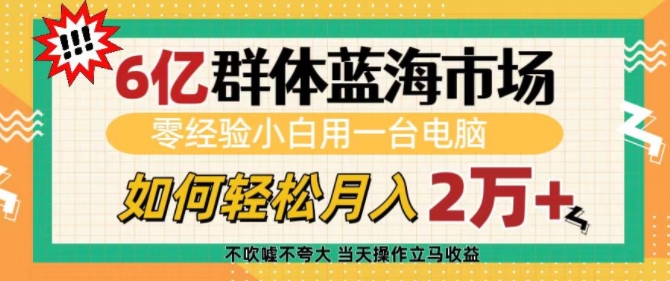 6亿群体蓝海市场，零经验小白用一台电脑，如何轻松月入过w【揭秘】-黑鲨创业网