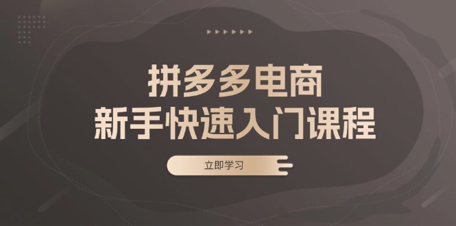 拼多多电商新手快速入门课程：涵盖基础、实战与选款，助力小白轻松上手-黑鲨创业网