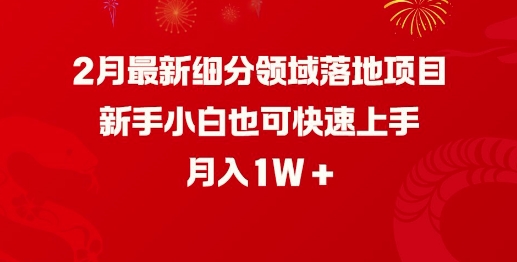 2月最新细分领域落地项目，新手小白也可快速上手，月入1W-黑鲨创业网